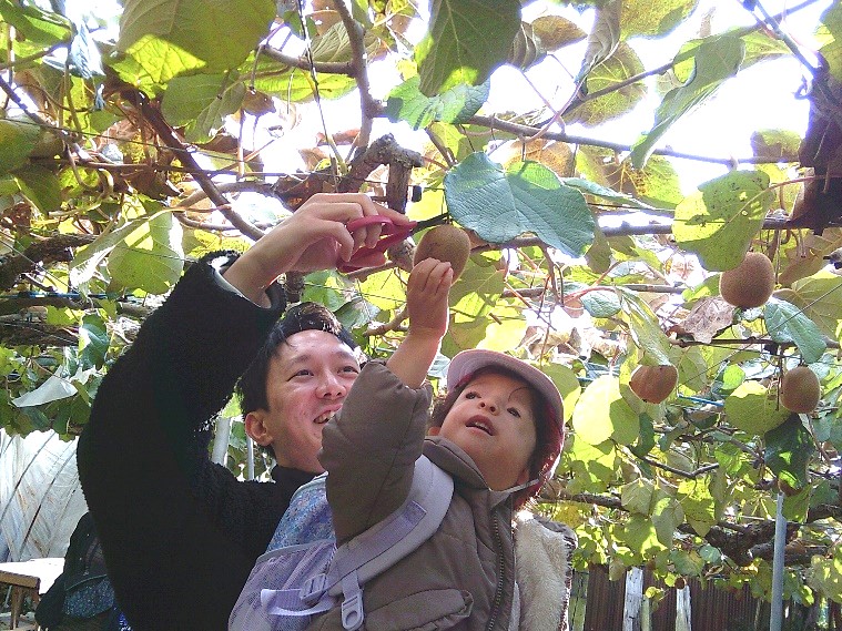 写真：幼稚部秋の遠足