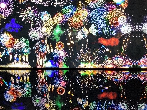 写真：中学部校外学習「はなび・アム」