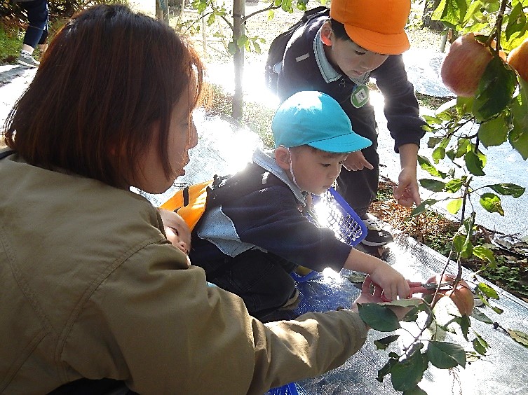 写真：幼稚部秋の遠足