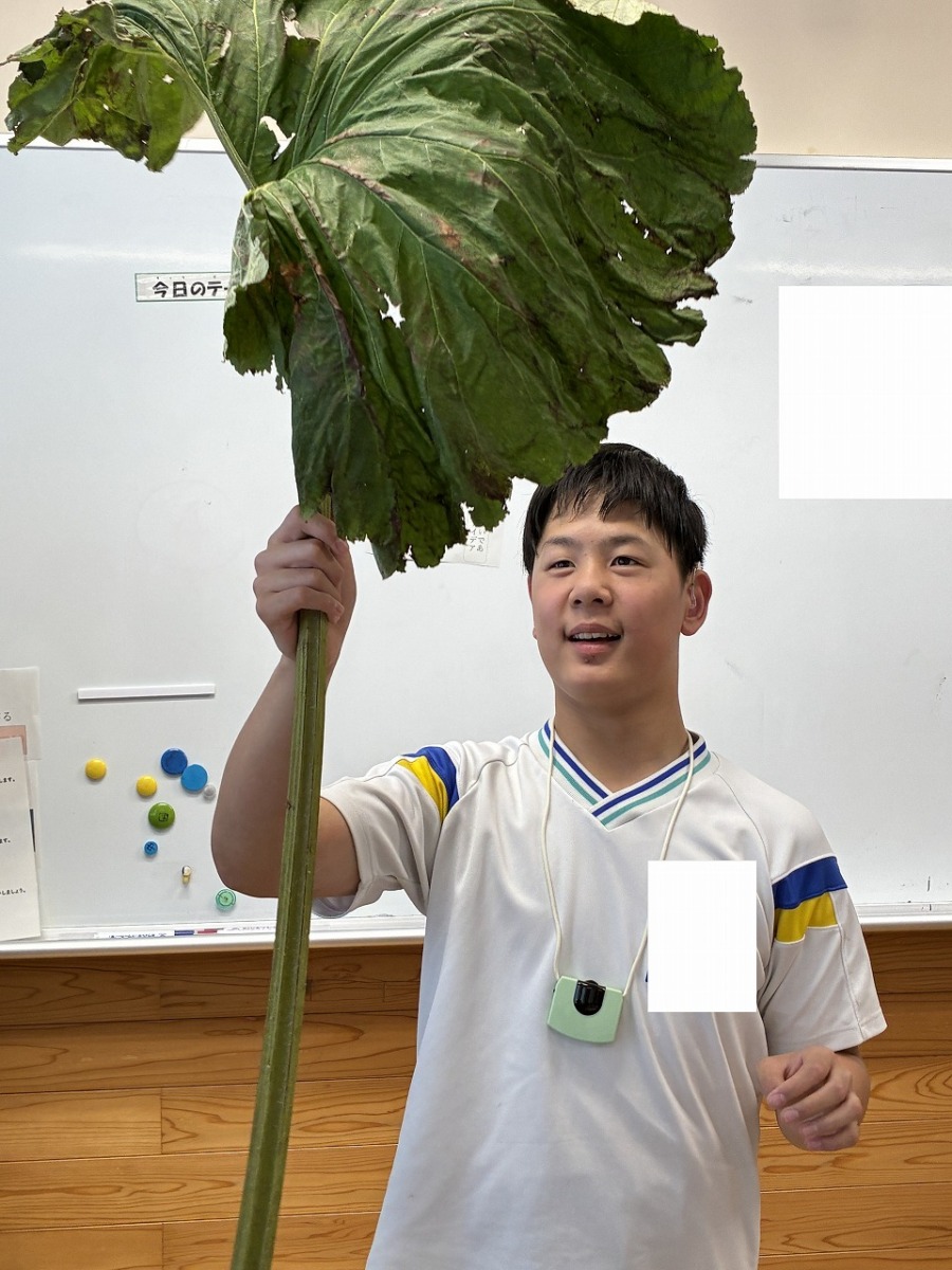 大きな秋田ふきを中学部生にプレゼントして喜んでいる様子です。