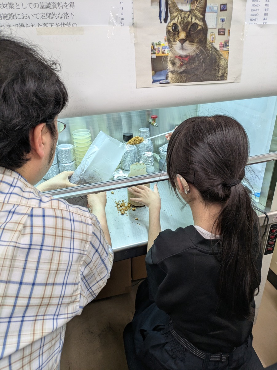 スプーンを慎重に操作してきのこの菌床作り体験をする中学部2年女子の写真