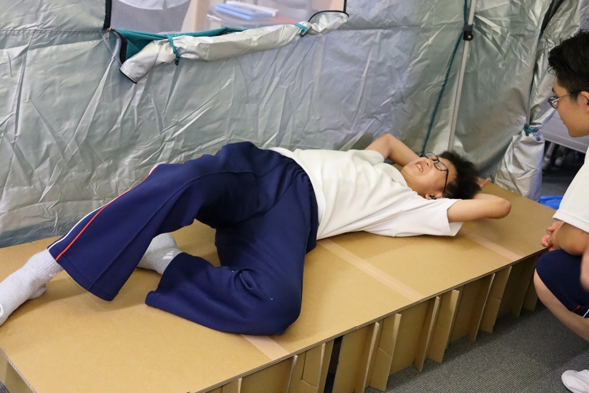 段ボールベットに寝ている写真