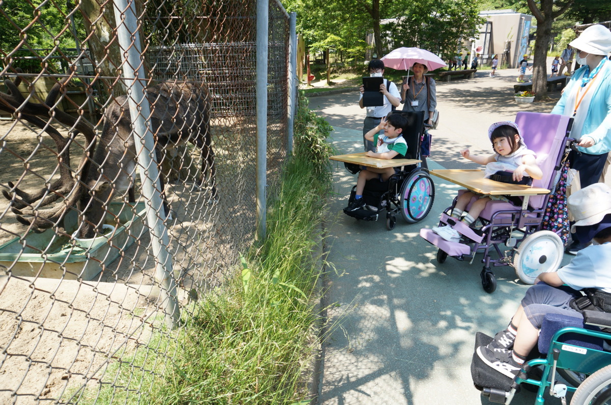 【写真】トナカイを見る児童