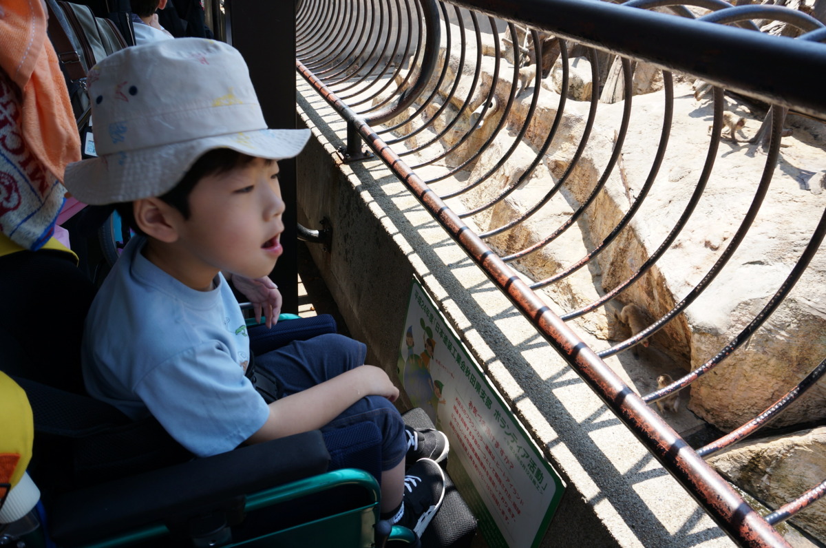 【写真】猿山を見る児童