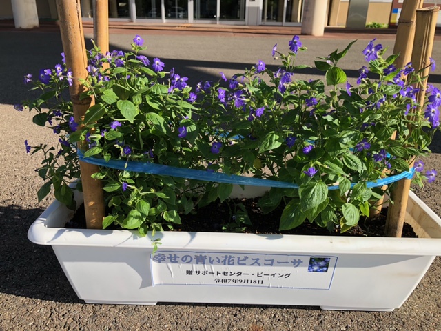 贈呈式 その5