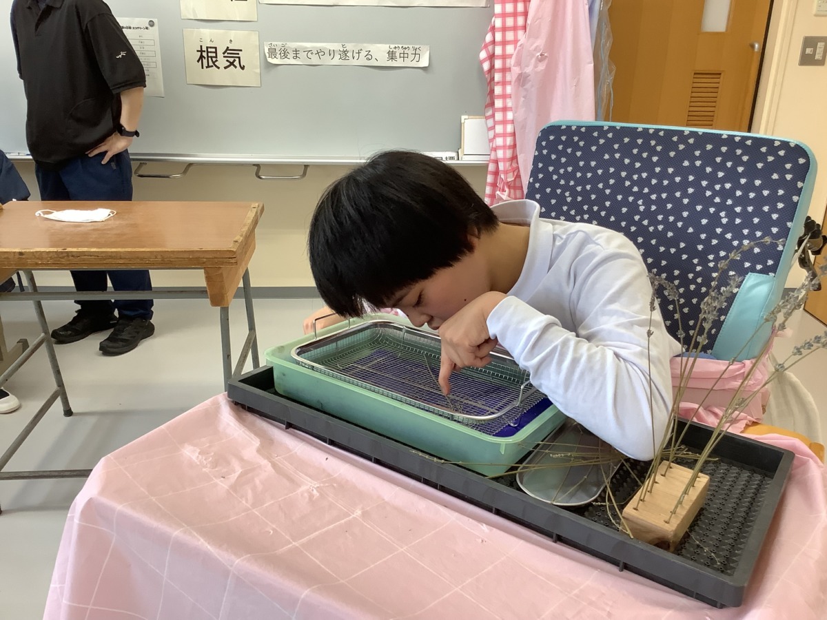 エコ・グリーン班
