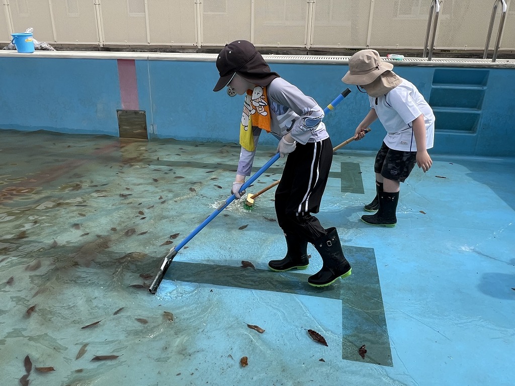 プールに浮かぶ落ち葉を回収