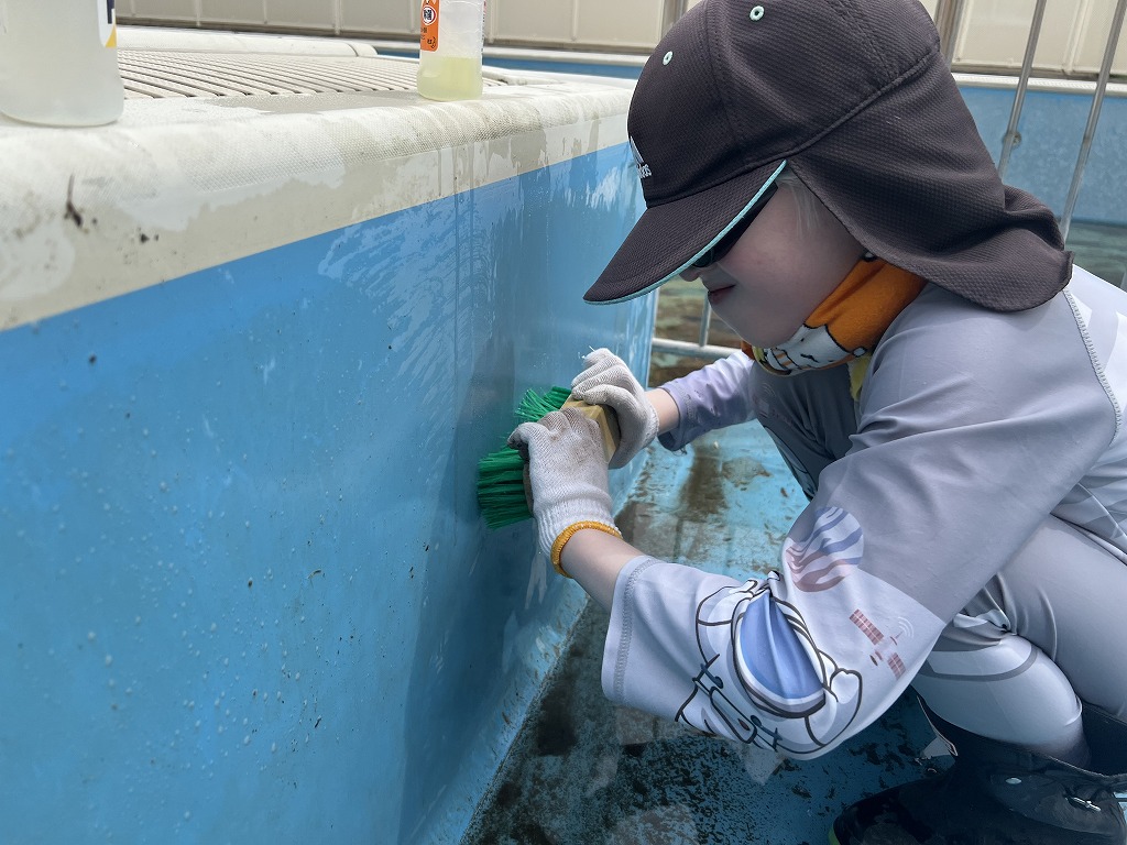細かい壁面の汚れも丁寧に清掃