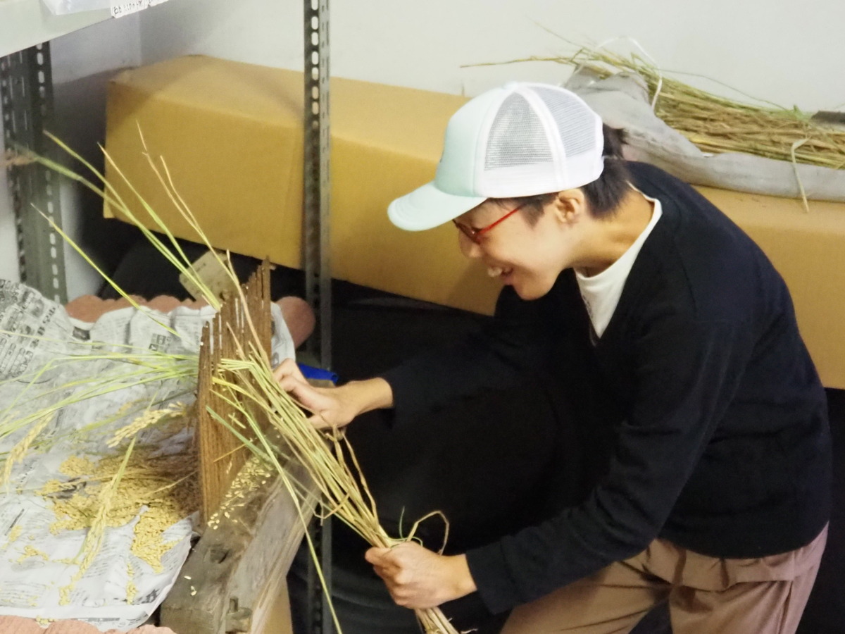 歴史の学習と関係がある千歯扱きも体験(桜井記念・手でみる博物館)