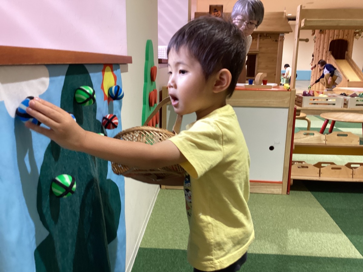 木の実のボールを壁面の木にペッタン!!