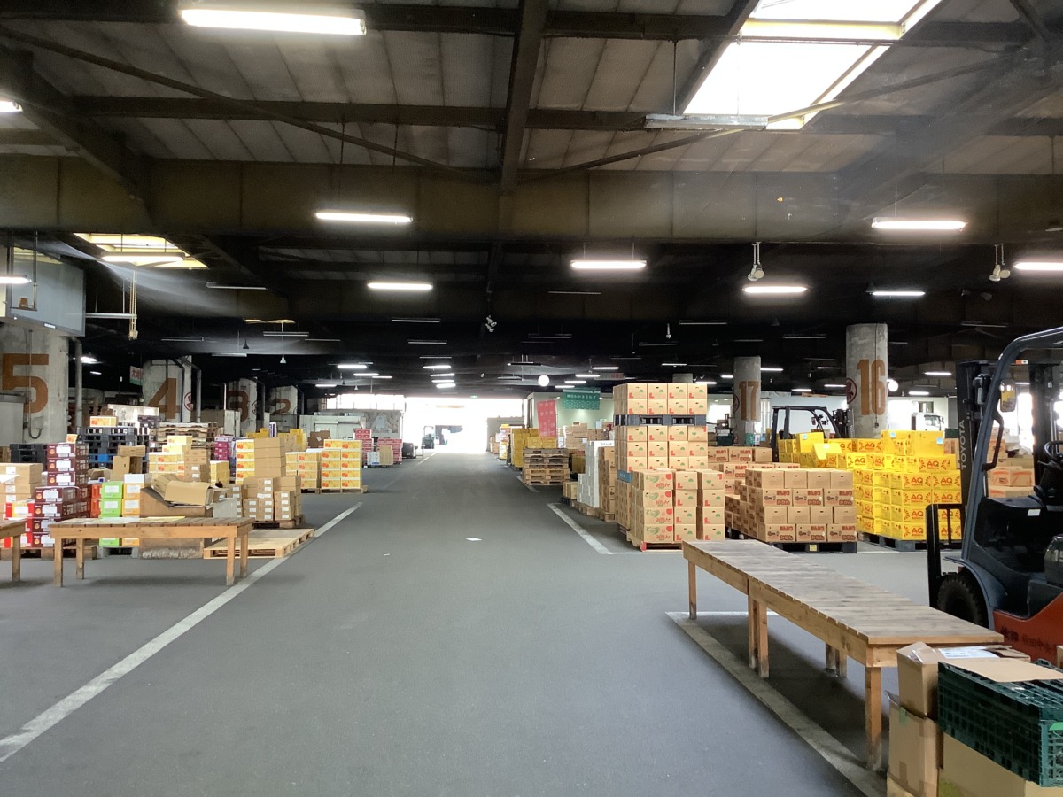 奥行50メートルほどの広い空間に段ボールやケースが大量に積まれている様子