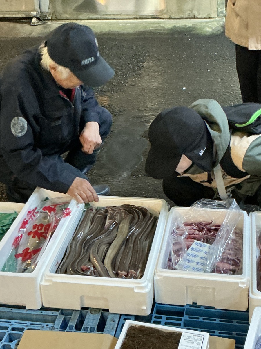 説明を聞きながら、しゃがみこんで発泡スチロールの中のうなぎやホタルイカを覗き込んでいる児童