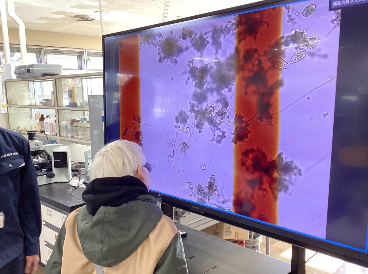 児童がモニターに映された拡大された微生物を画面に近づいて見ている様子