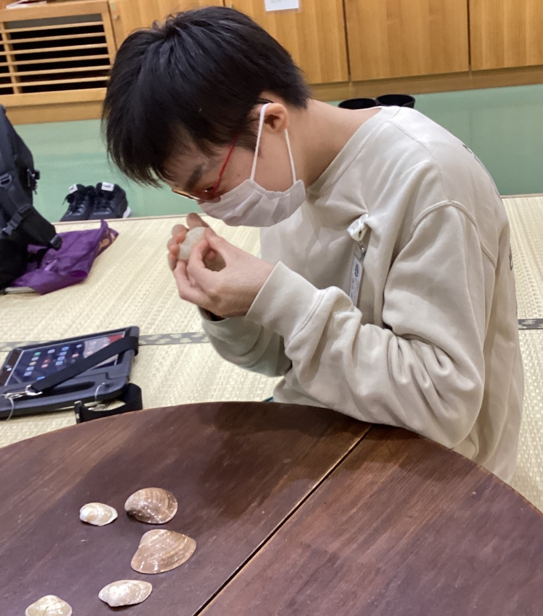 児童がテーブルに並べられた半面の貝殻を二つ持ち、目に近づけ形が合うか確かめている様子。