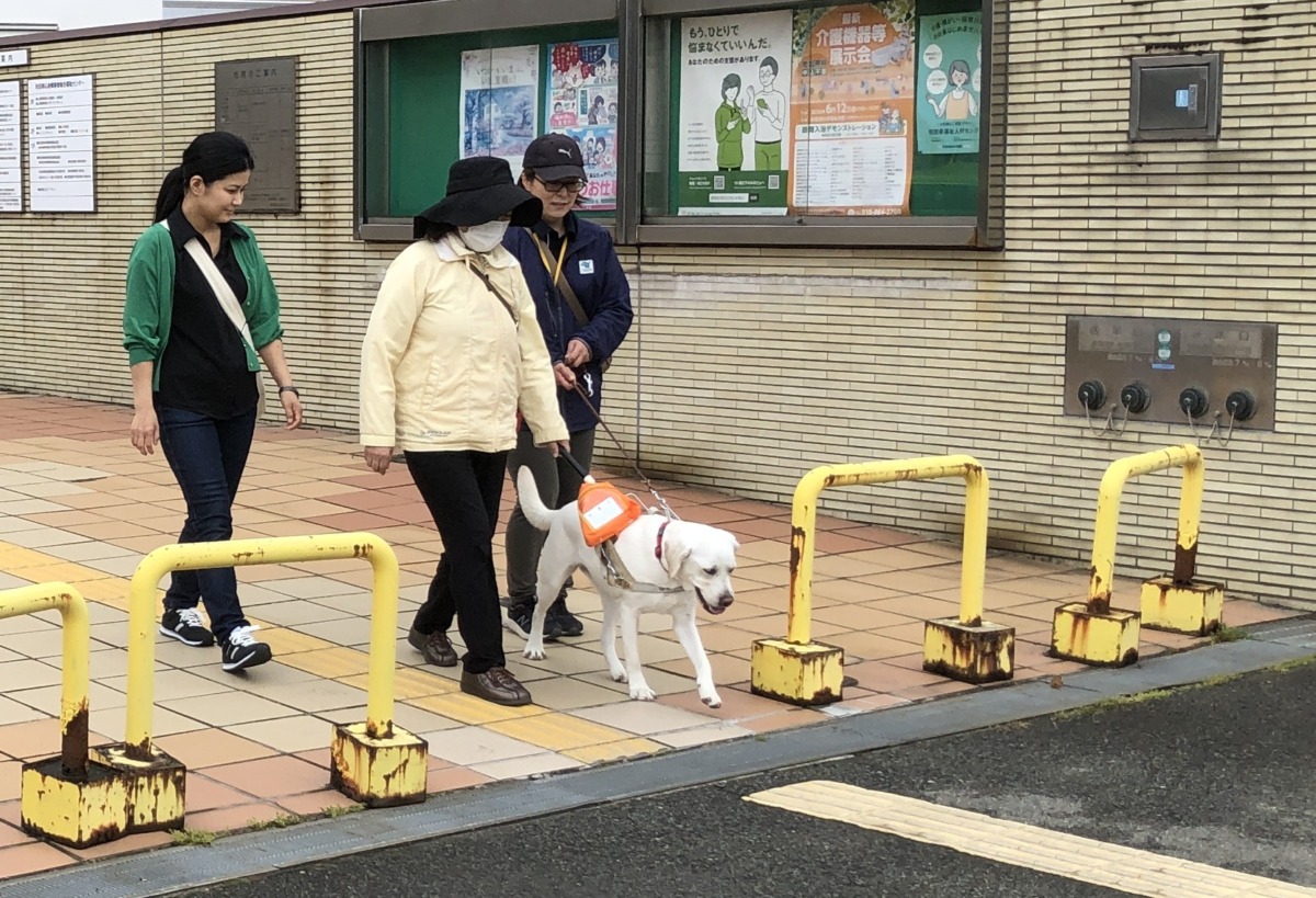 参加者が盲導犬と一緒に、車止めの間の点字ブロックの上を歩いている様子。