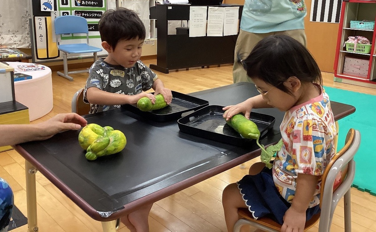 テーブル上のお盆に乗っている大きなきゅうりを触って観察している幼児2名