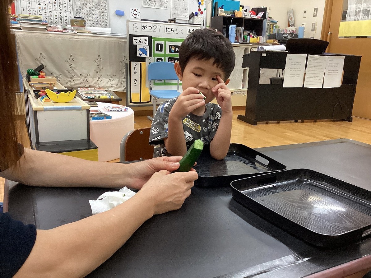 育てたきゅうりを実食している幼児