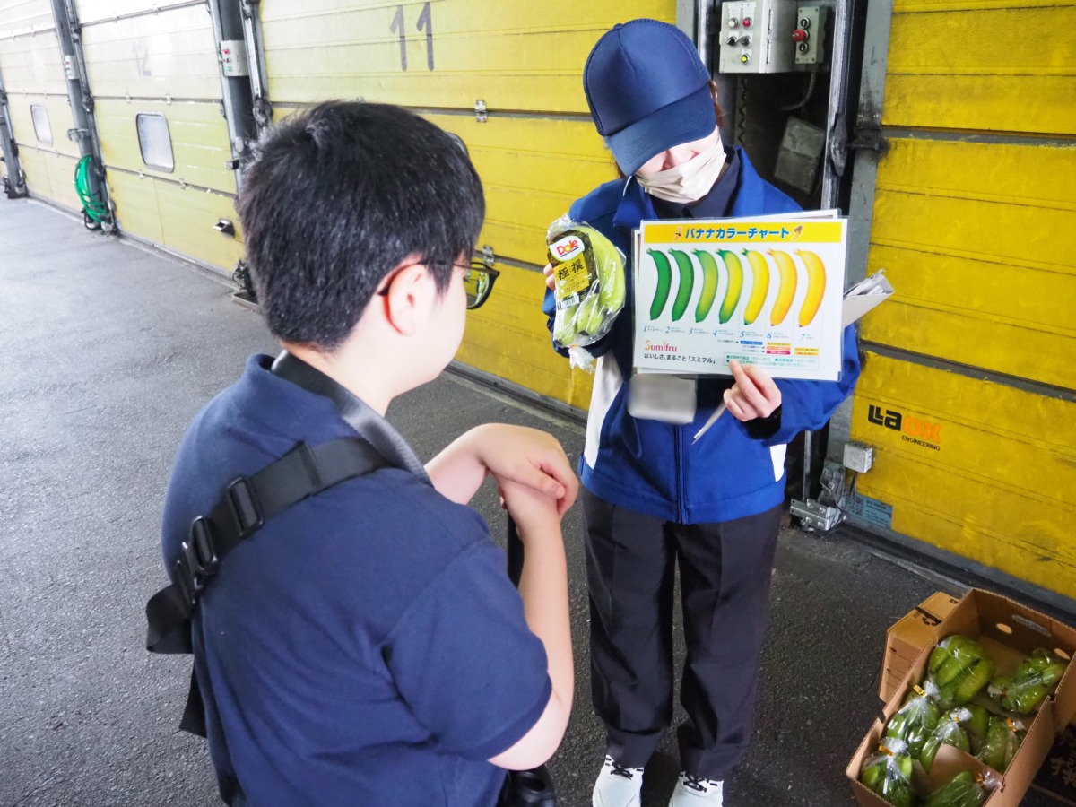 施設の職員から、青、緑、黄色といったバナナが、熟す過程通りに並んだ図を見せてもらっている児童