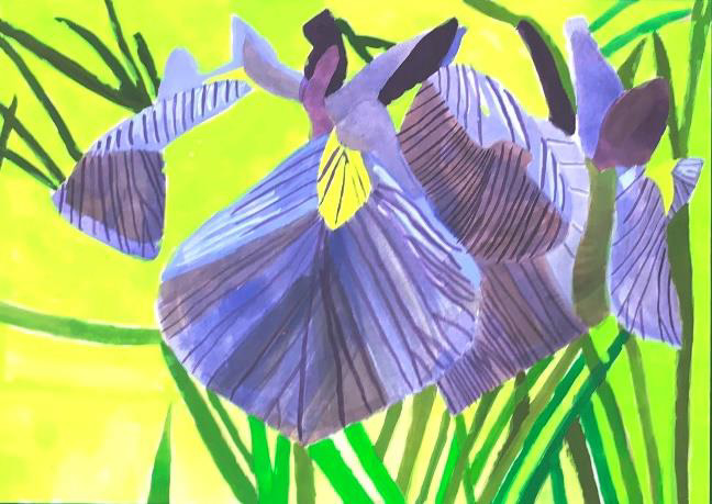 絵画「あざやかなアヤメ」
