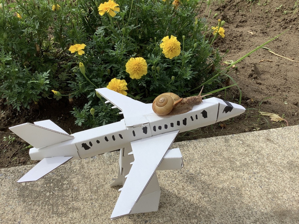 写真部会長賞「巨大カタツムリ、飛行機に乗る。」