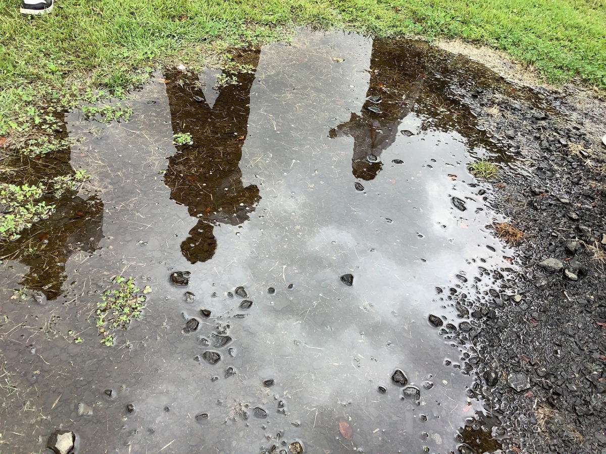 優秀賞「水たまりの影」