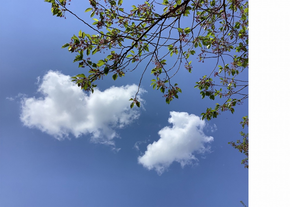 佳作「おそらがみえるよ」